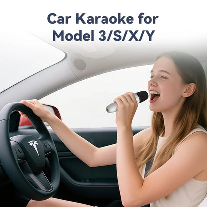 T1-Car Karaoke Microphone, Rechargeable Caraoke Mic with USB-A & USB-C Receiver, Plug to Use，No Need Pair