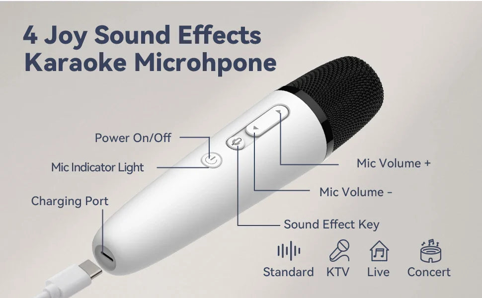 T1-Car Karaoke Microphone, Rechargeable Caraoke Mic with USB-A & USB-C Receiver, Plug to Use，No Need Pair