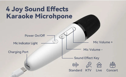 T1-Car Karaoke Microphone, Rechargeable Caraoke Mic with USB-A & USB-C Receiver, Plug to Use，No Need Pair