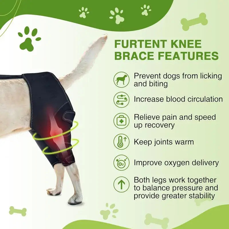 Orthèse orthopédique pour chiens et animaux de compagnie, attelle de soutien orthopédique pour les hanches, Support de jambe réglable pour garder les articulations des animaux au chaud et Stable