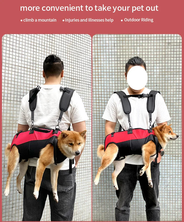 Sac à dos de voyage pour animaux de compagnie (3 tailles), porte-épaule, randonnée en plein air, marche, Durable et confortable, en tissu Oxford, pour chien/chat