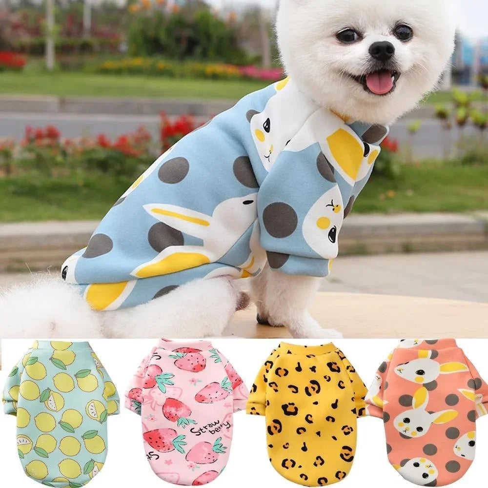 Chihuahua Chien Sweat-shirt Chiot Chat Pull Chiens Petit Chien Sweat à Capuche Manteau Hiver Chaud Vêtements pour Animaux de Compagnie pour Bouledogue