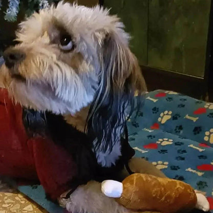 Un ensemble de 7 pièces de jouets sonores pour chiots, à mâcher en peluche en vrac pour animaux de compagnie, collations aux fruits et jouets pour chiots de légumes, adaptés aux jeux mignons