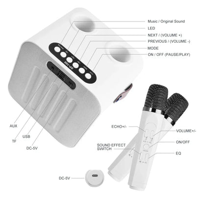 Best-Selling Karaoke Speaker Machine with Two Wireless Microphones & LED Screen，Minimum Order Quantity 2 Pieces