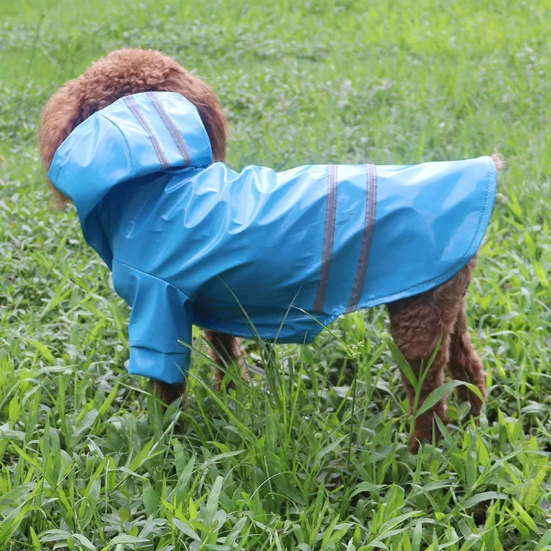 Vêtements pour chiens, vestes imperméables, imperméables à capuche avec bande réfléchissante, vêtements respirants d'extérieur pour chiots