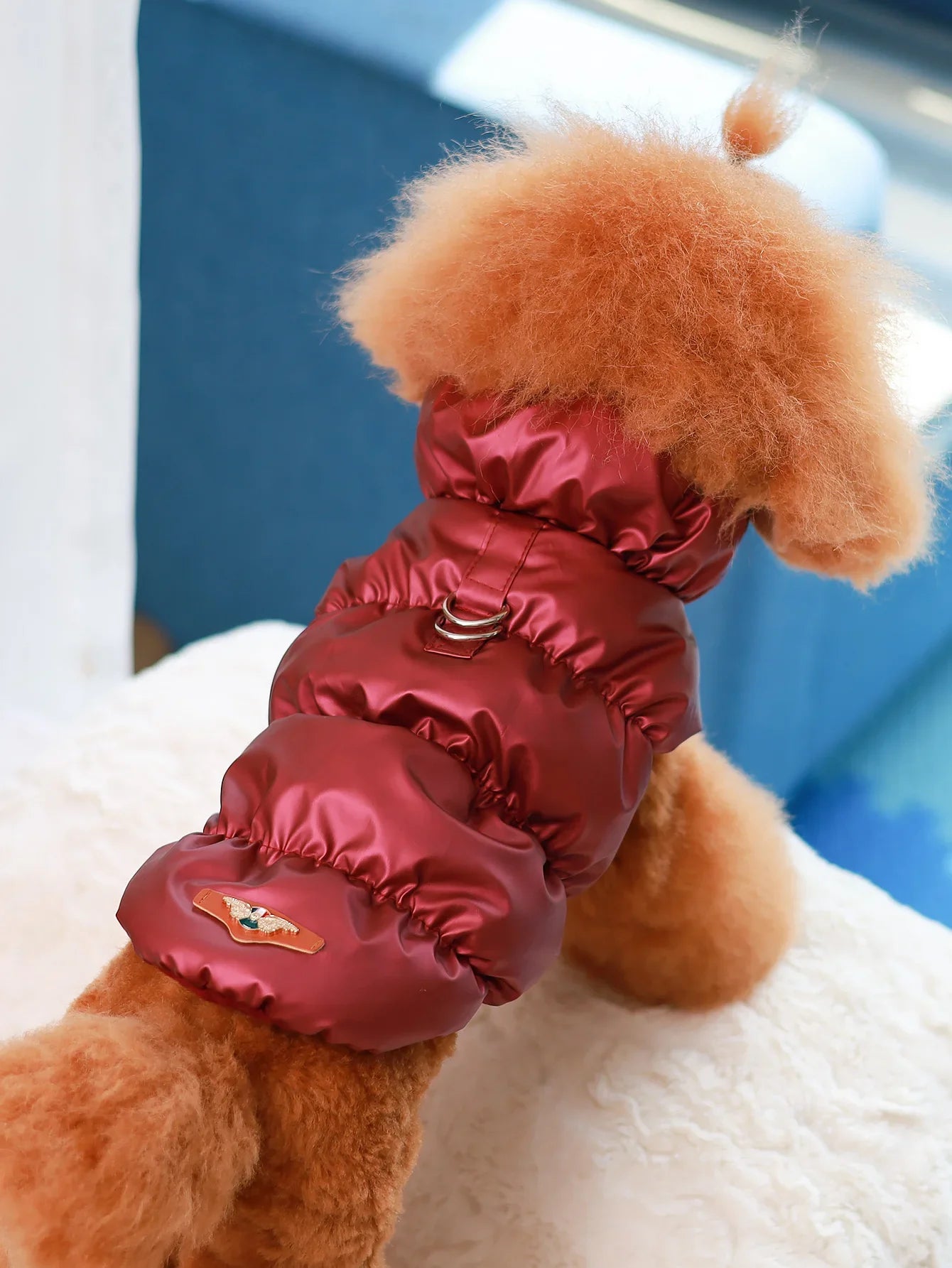Veste pour chien pour automne/hiver, manteau pour animaux de compagnie, vêtements d'extérieur chauds épais à 3 couches, adapté aux chiens de petite à moyenne taille comme caniche, Teddy, York