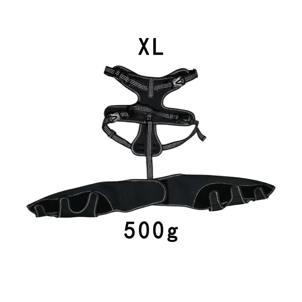 Orthèse orthopédique pour chiens et animaux de compagnie, attelle de soutien orthopédique pour les hanches, Support de jambe réglable pour garder les articulations des animaux au chaud et Stable