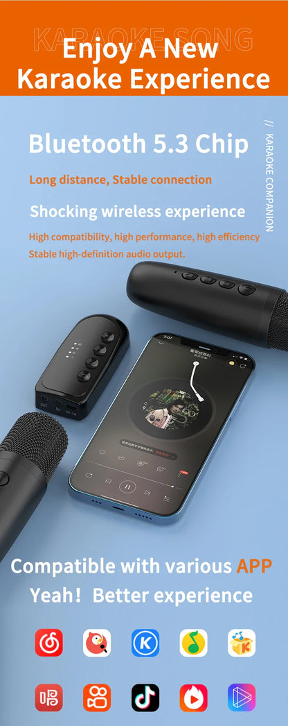 Wireless Karaoke Companion Bluetooth 5.3 Dynamic Microphone KTV DSP Mixer System 3.5MM AUX Type-C Amplifier Host For Speaker Car