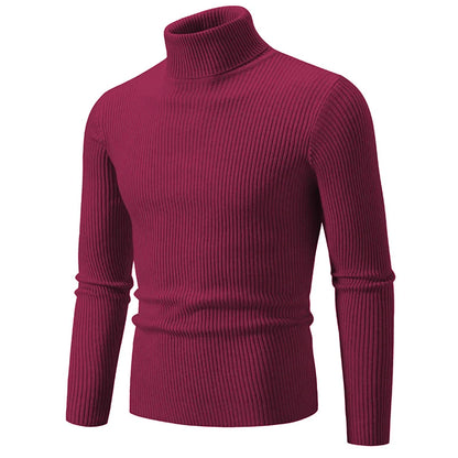 Hommes Pulls Gilets Cols Roulés Tricotés Manches Longues Couleur Unie Décontracté Coupe Slim Épais Épissure Automne Hiver