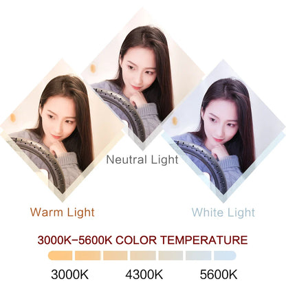 26cm (10") LED Selfie Ring Light, Photography Lighting Kit, USB Charging Lamp with Tripod for Live Video, 120 Beads