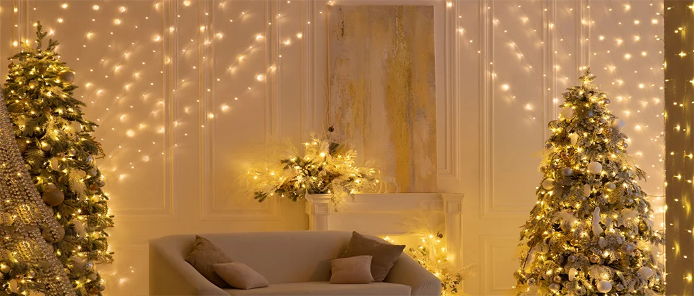 220V LED Curtain Light, Holiday Curtain String Light, Indoor and Outdoor, Christmas Decoration, Fairy Lights