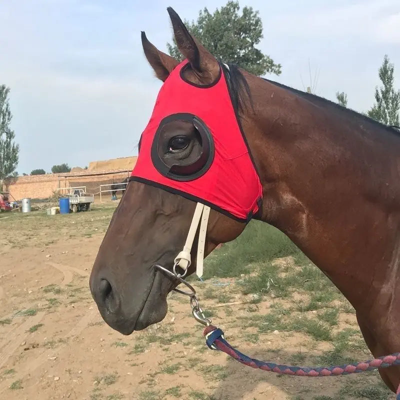 Équipement équestre, masque oculaire coupe-vent, gilet professionnel pour cheval de course, masque oculaire anti-sable, tête de cheval