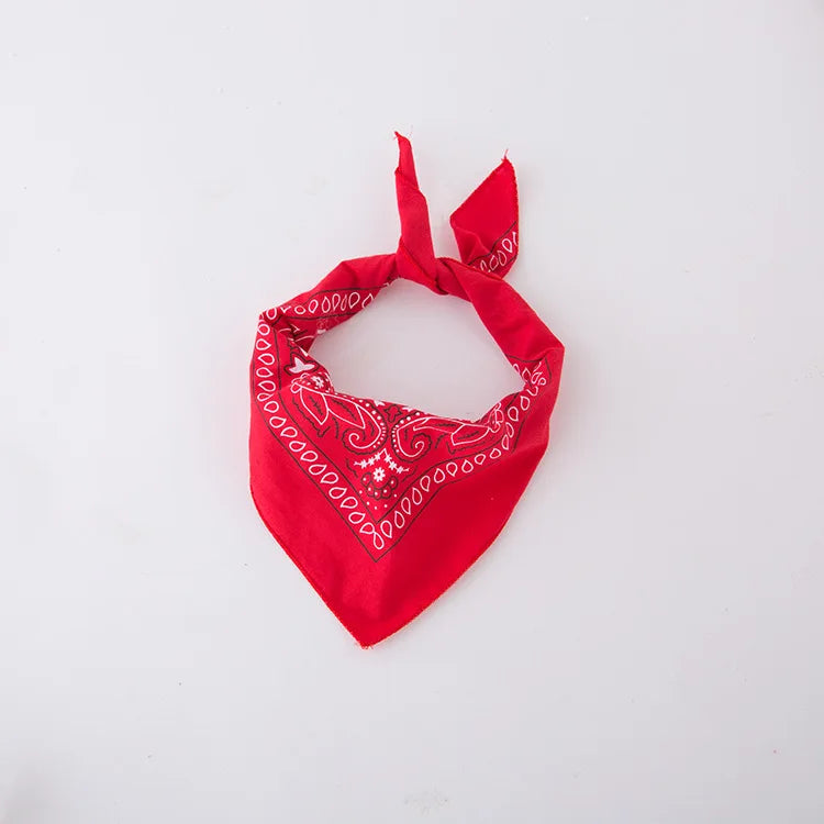Déguisement de cow-boy pour bébé, tout-petit, enfant, garçon, ensemble de luxe avec chapeau de cow-boy pour les fêtes de Pourim, Halloween