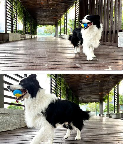 Interactive dog toys, soft TPR pet tooth cleaning toys, bite resistance, squeaky ball