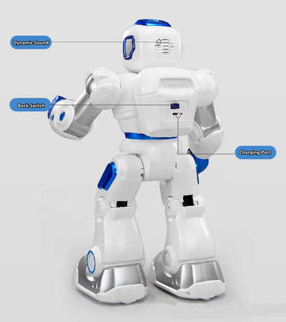 Application Control 2.4GHz, Dual Mode Programming, Demo, RC Robot, Walk/Slide Switch, Touch Sensing, Voice Recording, Singing, Dancing, Puzzle, RC Toys