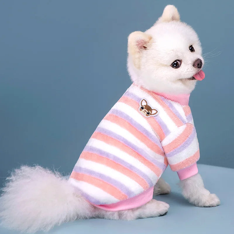 Vêtements pour animaux de compagnie d'automne et d'hiver, rayures arc-en-ciel, mignons et chauds, vêtements pour chats en peluche, fournitures pour chiens, sweat à capuche pour chien, costume Schnauzer