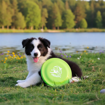 Durable pet dog training disc for puppy and adult dog training, lightweight and easy-to-hang training toy, essential pet supplies