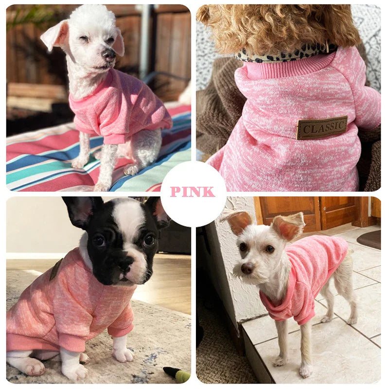 Veste d'hiver chaude pour chiots et chats, vêtements pour petits chiens, chihuahuas, schnauzers, carlins, sweat-shirts, costumes décontractés pour animaux de compagnie