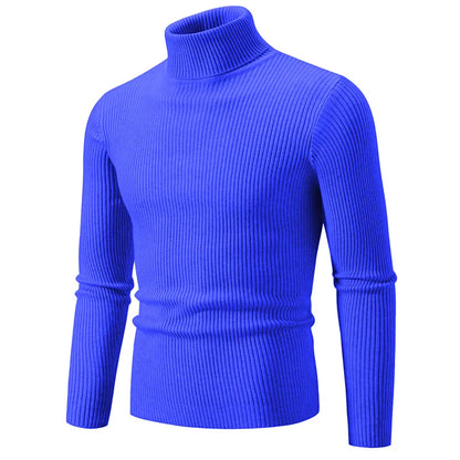 Hommes Pulls Gilets Cols Roulés Tricotés Manches Longues Couleur Unie Décontracté Coupe Slim Épais Épissure Automne Hiver
