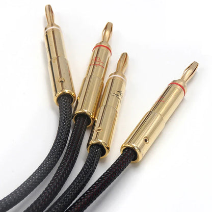 Professional OCC Speaker Lines - Accuphase Anniversary 4x4 Banana Plugs for Hi-Res Systems