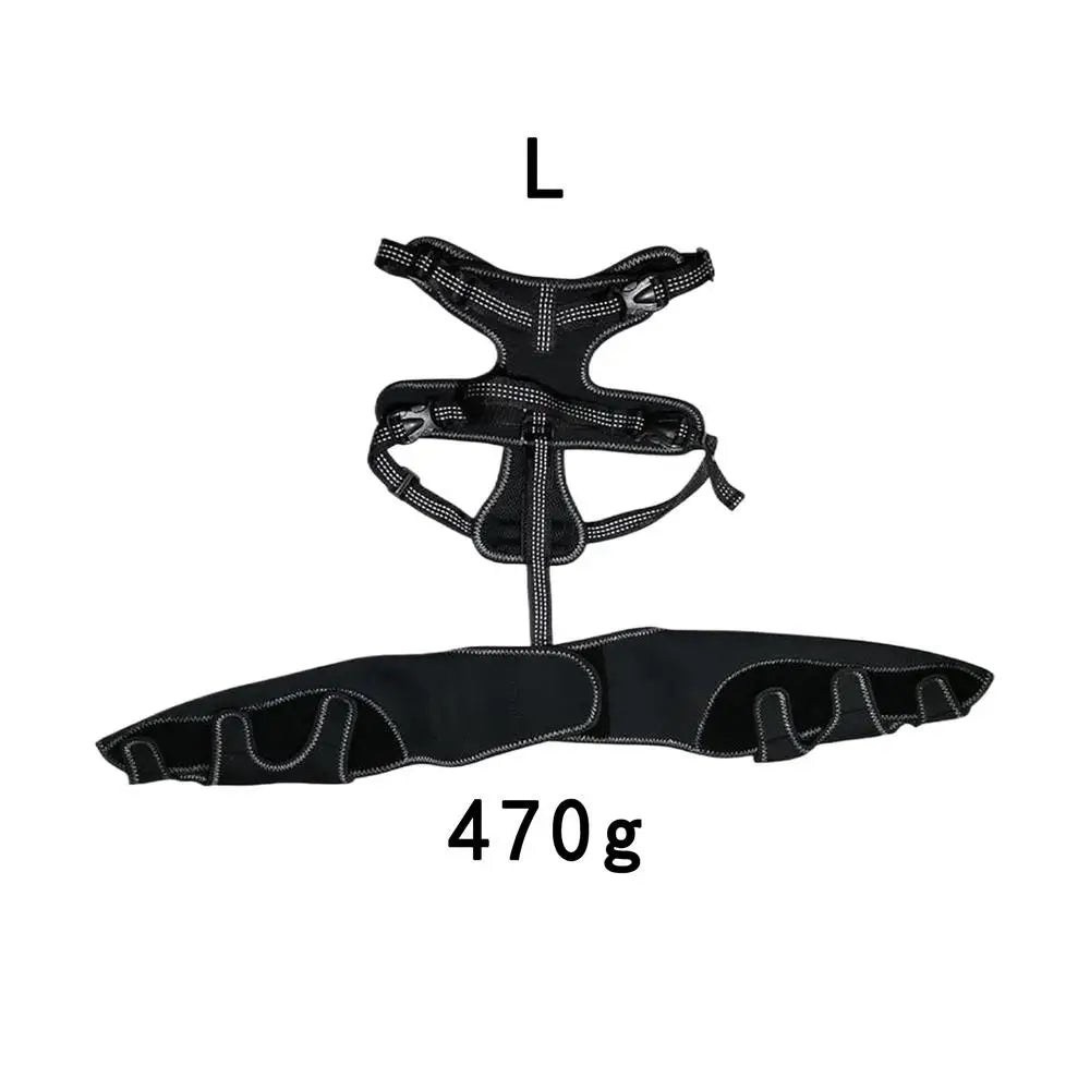 Orthèse orthopédique pour chiens et animaux de compagnie, attelle de soutien orthopédique pour les hanches, Support de jambe réglable pour garder les articulations des animaux au chaud et Stable