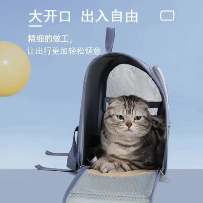 Sac à dos de transport pour animaux de compagnie, grand sac à dos pour chat, Transparent, respirant, Portable, pour chats et chiens, sac à bandoulière de transport