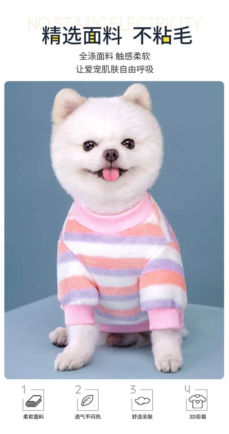 Vêtements pour animaux de compagnie d'automne et d'hiver, rayures arc-en-ciel, mignons et chauds, vêtements pour chats en peluche, fournitures pour chiens, sweat à capuche pour chien, costume Schnauzer