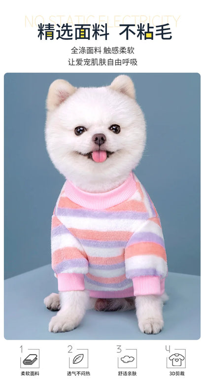 Vêtements pour animaux de compagnie d'automne et d'hiver, rayures arc-en-ciel, mignons et chauds, vêtements pour chats en peluche, fournitures pour chiens, sweat à capuche pour chien, costume Schnauzer