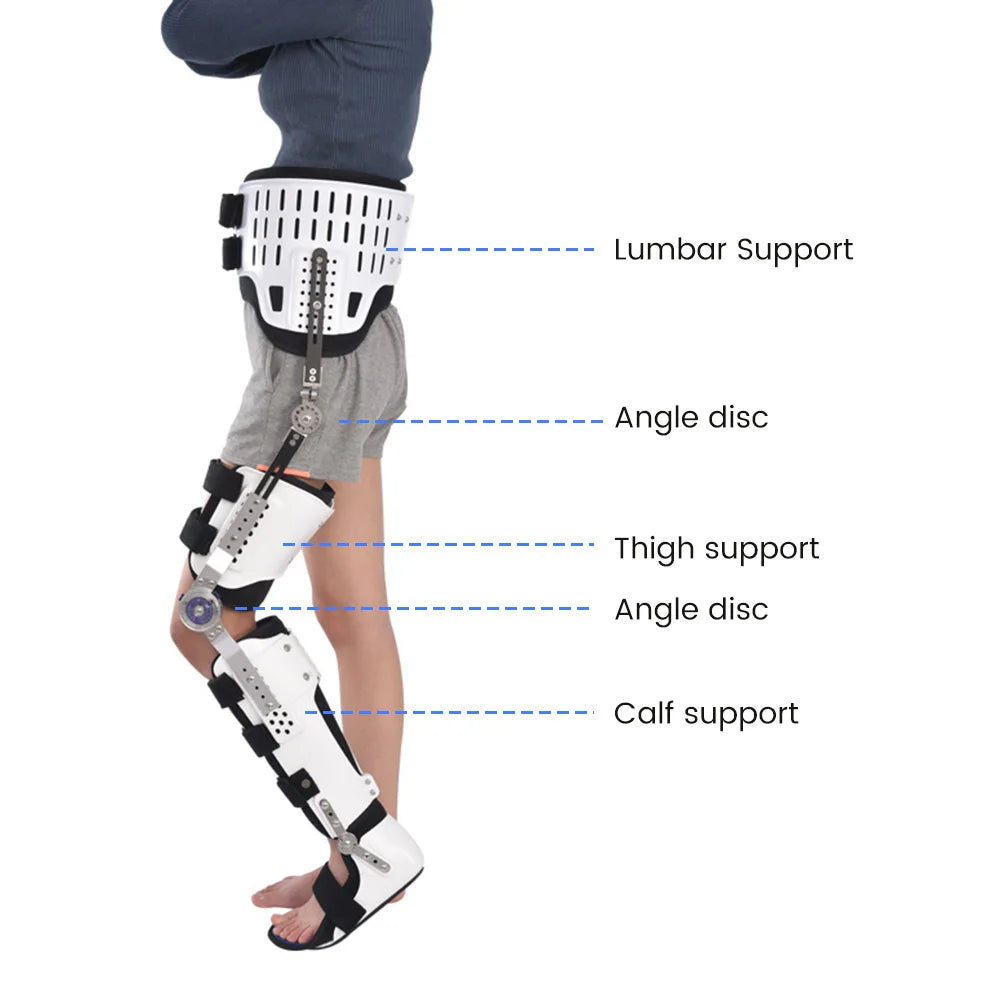 Adjustable Hip, Knee, Ankle, Foot Orthosis, Fixed Splint, Orthopedic Support for Leg, Hip, Thigh, Female Fracture, Lower Limb Paralysis