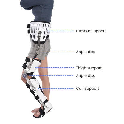 Adjustable Hip, Knee, Ankle, Foot Orthosis, Fixed Splint, Orthopedic Support for Leg, Hip, Thigh, Female Fracture, Lower Limb Paralysis