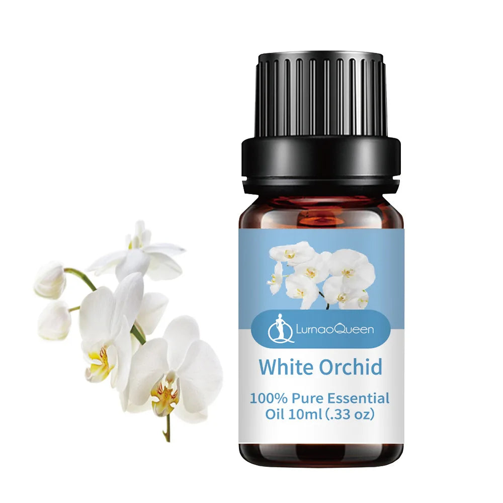 Huile essentielle de bougie d'aromathérapie 10 ml, saveur de fruit naturel, huile essentielle végétale, bougie de savon faite à la main, essence de vanille