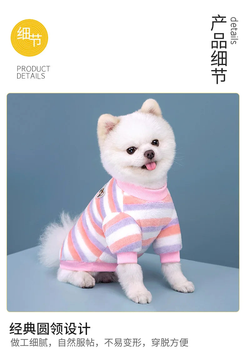 Vêtements pour animaux de compagnie à rayures arc-en-ciel pour automne et hiver, mignons et chauds, vêtements pour chatons et chiens, sweat à capuche pour chien, costume de Schnauzer