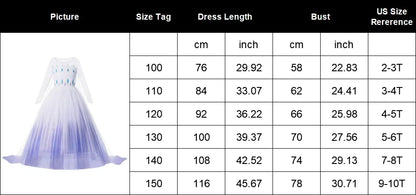 Snow Queen Girls Dress Princess Anna Elsa 2 Dresses Kids Fancy Children Vestidos Birthday Carnival Fancy Party Disguise