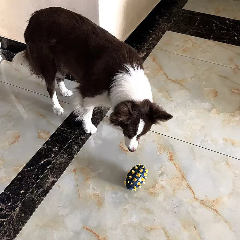 Rugby en caoutchouc pour chien, épines souples, meulage des dents, résistance aux morsures, compression, vocalisation accompagnant les chiens de grande et moyenne taille
