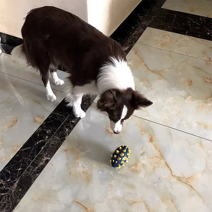 Rugby en caoutchouc pour chien, épines souples, meulage des dents, résistance aux morsures, compression, vocalisation accompagnant les chiens de grande et moyenne taille