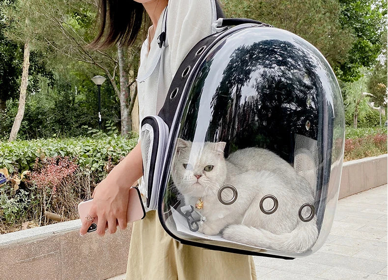 Sac de Transport pour animaux de compagnie, sacs à dos spatiaux pour animaux de compagnie, respirant, Portable, Transparent, pour chiot et chien, sacs à capsules spatiales