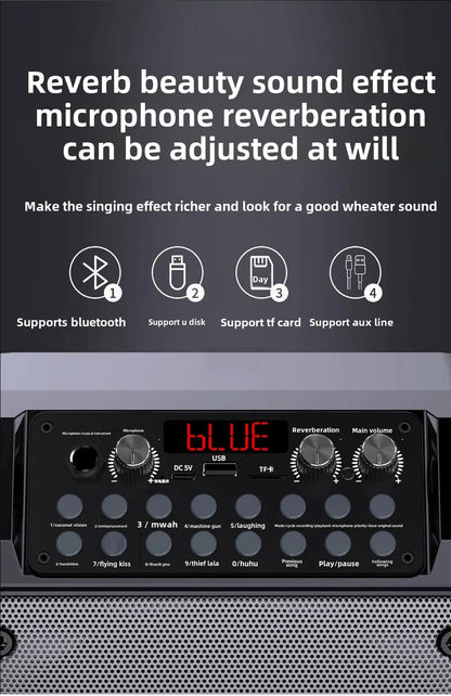 Dual Wireless Microphones & RGB LED Lighting! Outdoor Karaoke Speaker With 30W Power For Camping & Campfires OEM Supplier