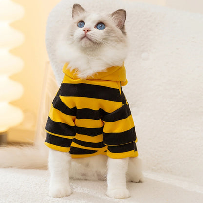 Cat costume, bee, Halloween costume, small pet clothing, fashion, adorable cat hoodies