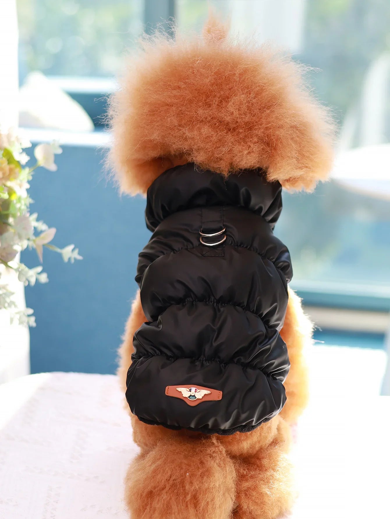 Veste pour chien pour automne/hiver, manteau pour animaux de compagnie, vêtements d'extérieur chauds épais à 3 couches, adapté aux chiens de petite à moyenne taille comme caniche, Teddy, York