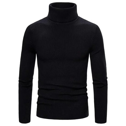 Hommes Pulls Gilets Cols Roulés Tricotés Manches Longues Couleur Unie Décontracté Coupe Slim Épais Épissure Automne Hiver