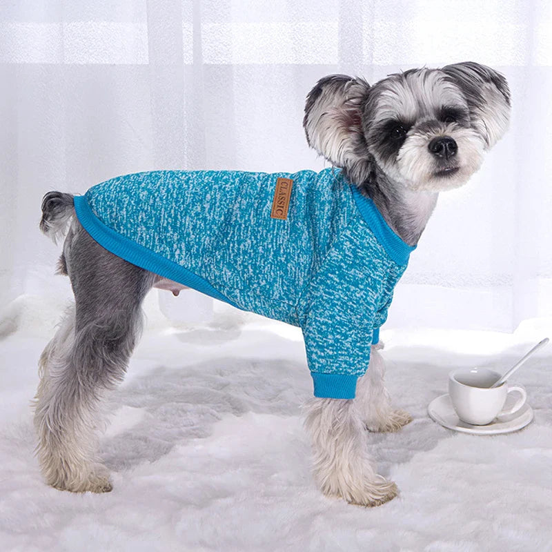 Winter clothes for small dogs, warm coats for Chihuahuas, Schnauzers, Pugs, sweatshirts, casual clothes for dogs and cats, pet access