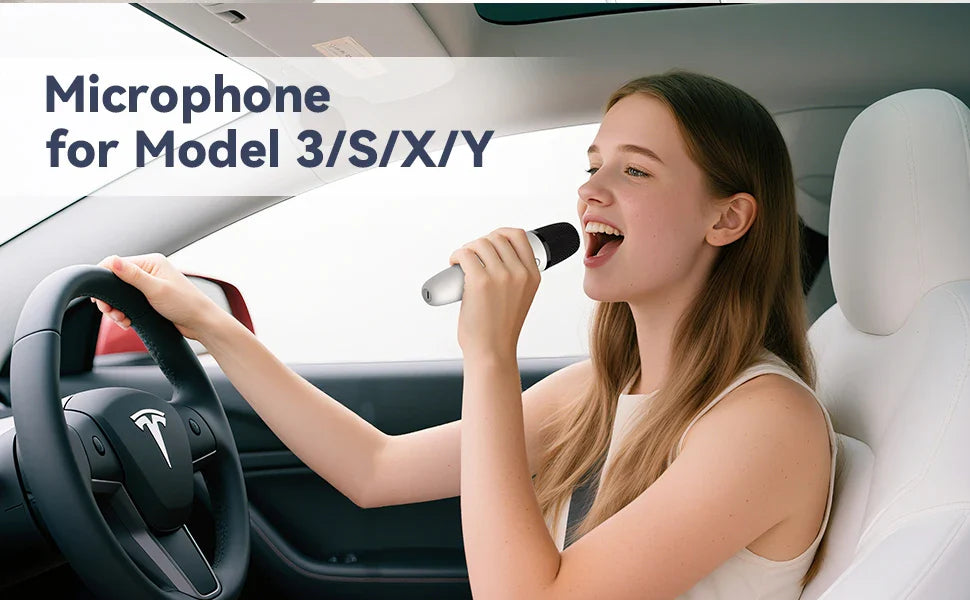 T1-Car Karaoke Microphone, Rechargeable Caraoke Mic with USB-A & USB-C Receiver, Plug to Use，No Need Pair