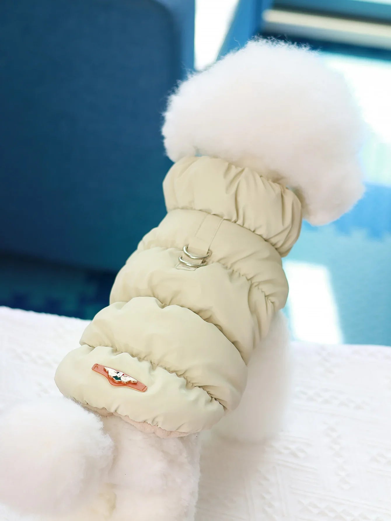 Veste pour chien pour automne/hiver, manteau pour animaux de compagnie, vêtements d'extérieur chauds épais à 3 couches, adapté aux chiens de petite à moyenne taille comme caniche, Teddy, York
