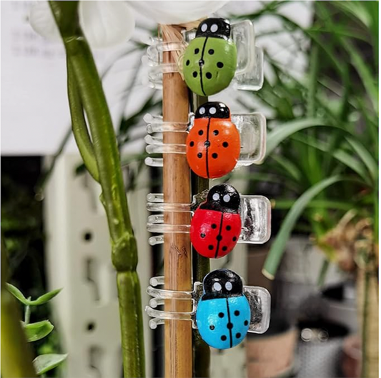 Pinces coccinelles