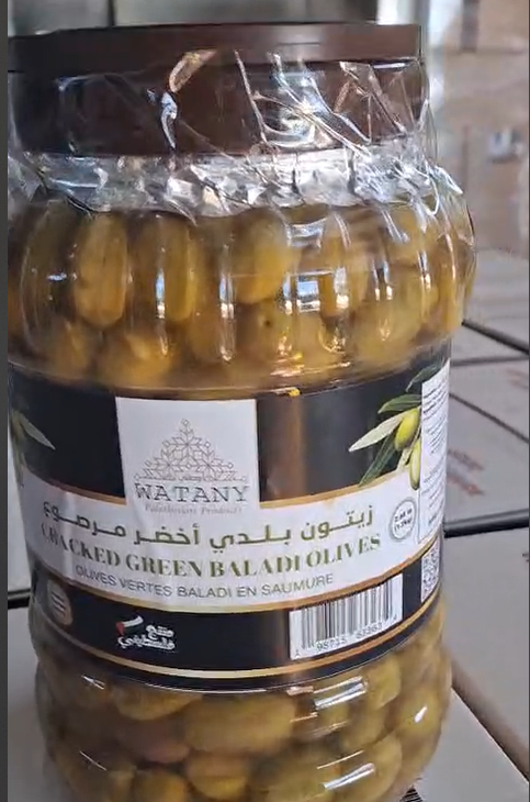 Jenin Palestinian Pickled Green Olives