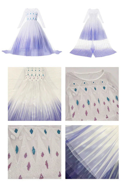 Snow Queen Girls Dress Princess Anna Elsa 2 Dresses Kids Fancy Children Vestidos Birthday Carnival Fancy Party Disguise