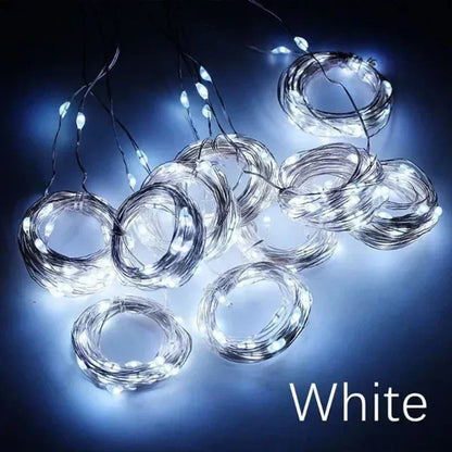 Guirxiété lumineuse LED USB pour décoration de jardin, lampe de guirxiété de vacances, nickel é, maison, fête de Noël, nouvel an, mariage, 3m, 8 modes