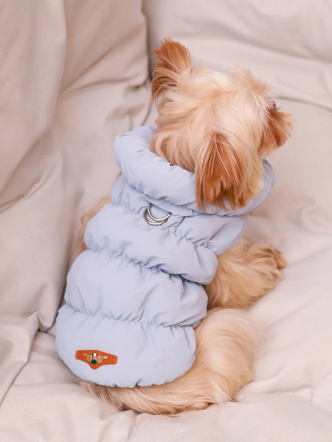 Veste pour chien pour automne/hiver, manteau pour animaux de compagnie, vêtements d'extérieur chauds épais à 3 couches, adapté aux chiens de petite à moyenne taille comme caniche, Teddy, York