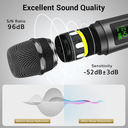 Heikuding Wireless Microphone UHF Dual Cordless Dynamic Mic System with Rechargeable Receiver for karaoke Singing Dj Microphone