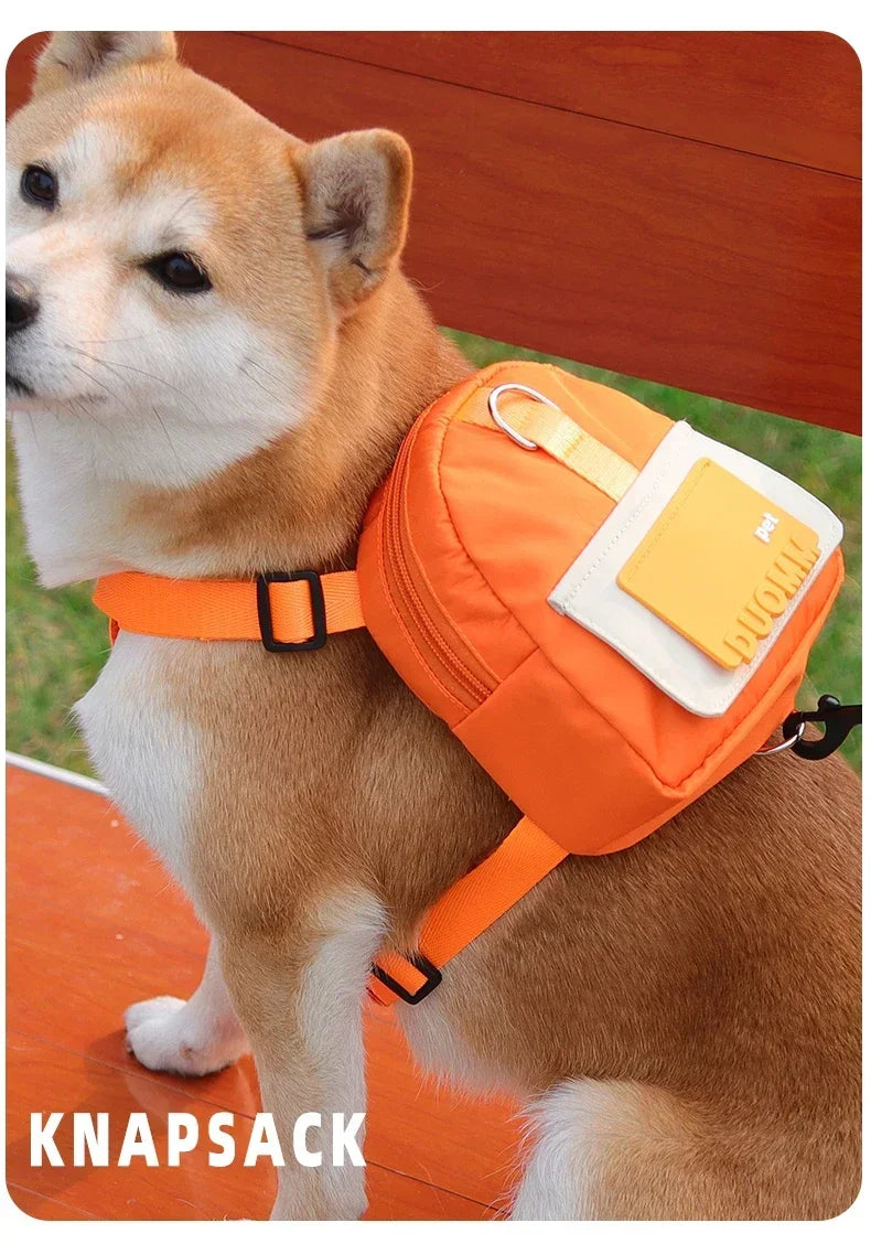 Sac à dos portable pour animaux de compagnie avec collier SFP, sacs à crottes, sacs de récompense, voyage en plein air, entraînement de chien, friandises pour chiots, poudres anale.